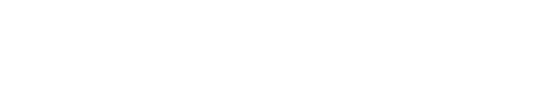 Insolit